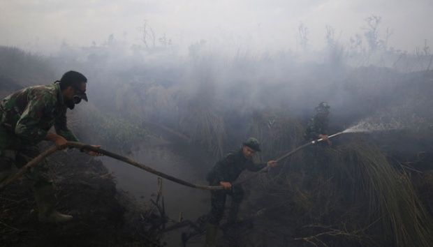 Anggota TNI Hilang secara Misterius saat Lakukan Pemadaman Kebakaran Hutan di Desa Pasirputih Rohil