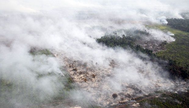 Titik Panas Meningkat Tajam, 74 Ada di Sumatera, Riau Sumbang 34