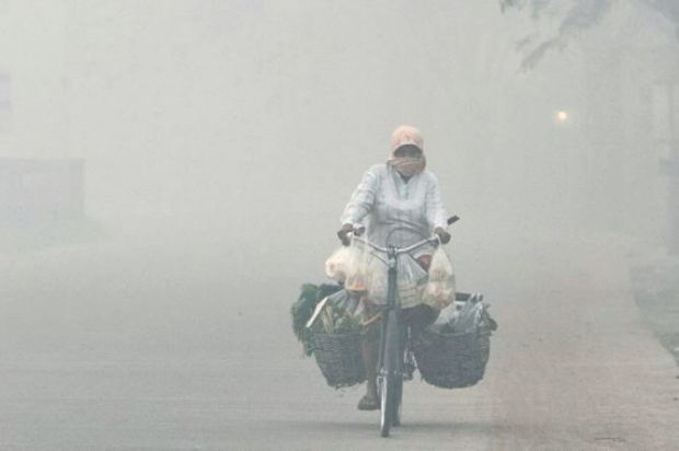 92 Titik Api Kepung Riau, 4 Daerah Masih Diselimuti Kabut Asap