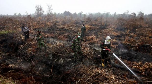 Lahan Konsesi Terbakar, Polda Riau Bidik PT Sumatera Riang Lestari dan PT Bina Duta Laksana