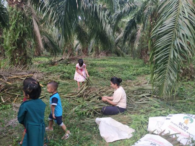 Pendapatan Babak Belur Dihantam Corona, Ibu Rumah Tangga di Desa Hajoran Labusel Ubah Daun Sawit Menjadi Rupiah