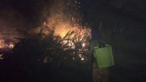 Mesin Robin Ngadat, Warga Tanjungpisang Kepulauan Meranti Padamkan Lahan Terbakar Pakai Pompa Semprot Tanaman