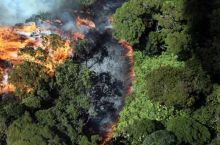 walhi-ingin-penegakan-hukum-terhadap-pembakar-hutan-dan-lahan-dipertegas