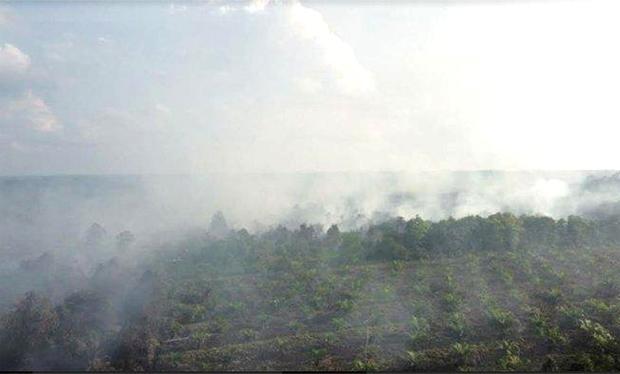 Karhutla di Pelalawan Riau Meluas, Diperkirakan 30 Hektar Lahan Terbakar