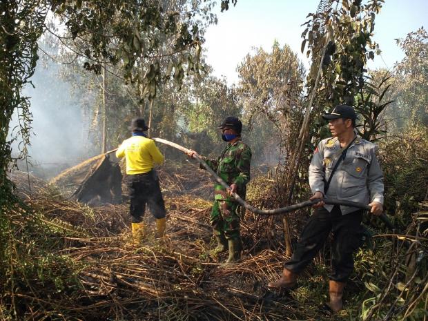 Lahan Semak Belukar Seluas 5 Hektar Terbakar di Kampung Penyengat Siak