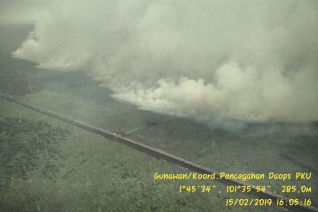 Kebakaran Hutan dan Lahan di Riau Semakin Parah, Asapnya Mengarah ke Malaysia