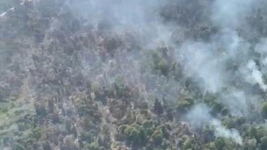 bluas-lahan-terbakar-di-riau-capai-1041-hektare-sejak-awal-2026-paling-parah-pelalawanb