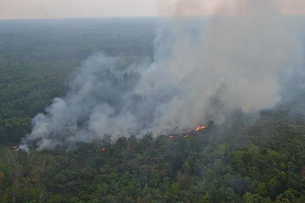 Sudah 760 Hektar Lahan yang Terbakar di Riau
