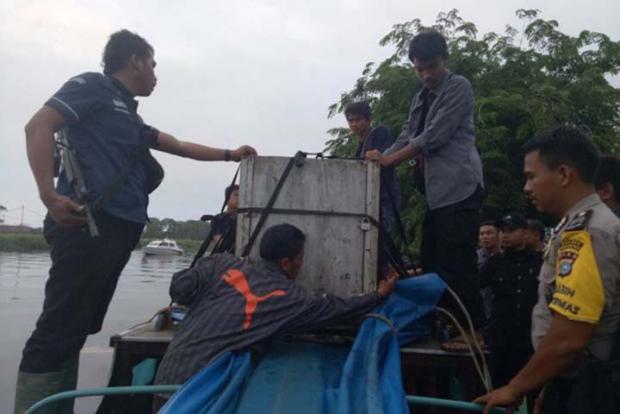 Setelah Ditangkap di Pelangiran, Harimau Bonita Dievakuasi Lewat Sungai Menuju Tembilahan