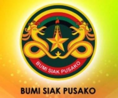 bini-profil-singkat-dua-calon-direktur-pt-bumi-siak-pusako-lulusan-itb-dan-unsri-yang-malang