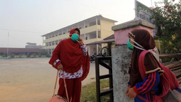 Kebakaran Hutan di Riau Meluas, Kualitas Udara di Dua Kabupaten Tidak Sehat