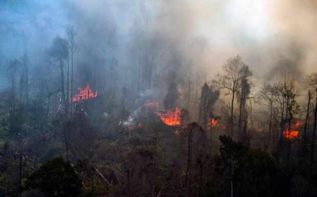 Dalam Sehari, Sedikitnya 30 Hektar Hutan Terbakar di Bengkalis