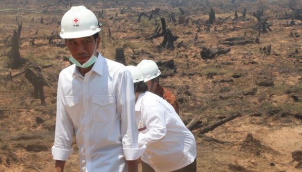 Jokowi Minta Daerah Siapkan Anggaran Atasi Kebakaran