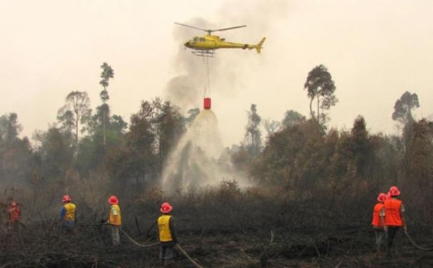 Pilot Tak Berani Terbangkan Heli, Aktivitas Pemadaman Api di Riau Lumpuh Total