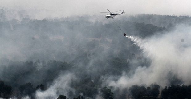 Anggota DPR Curiga Ada Pihak yang Sengaja Mendesain Kebakaran Hutan untuk Kepentingan Politik dan Ekonomi