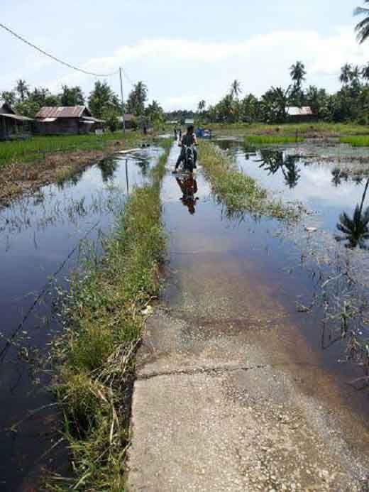 Seperti Sulap, Bila Air Pasang dan Hujan, Jalan di Desa Sei Solok Pulau Mendol Pelalawan Ini Hilang
