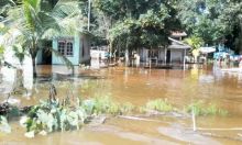 sungai-nilo-meluap-puluhan-rumah-di-desa-lubukkembangbunga-ukui-pelalawan-terendam-banjir
