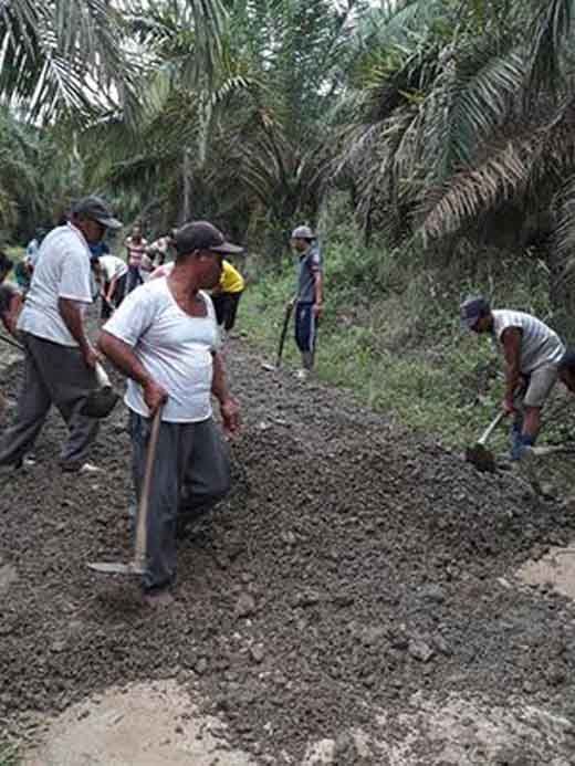 Petani Desa Batuampar Kecamatan Kemuning Inhik Gotong Royong Bangun Jalan demi Angkut Hasil Panen