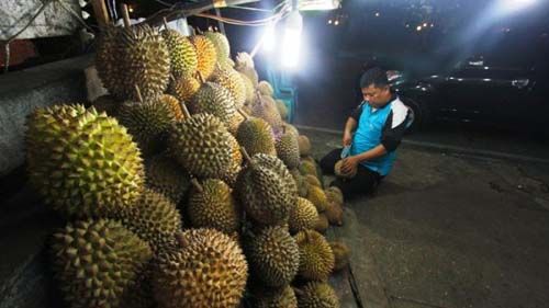 Ayo ke Pekanbaru, karena di Sini Durian Berbuah Sepanjang Waktu…