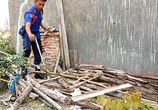 Ular Kobra Sepanjang 1,2 Meter Berhasil Dievakuasi dari Rumah Warga Tenayan Raya Pekanbaru