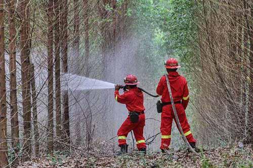 BNPB Klaim Luas Hutan dan Lahan yang Terbakar Menurun Setiap Tahun