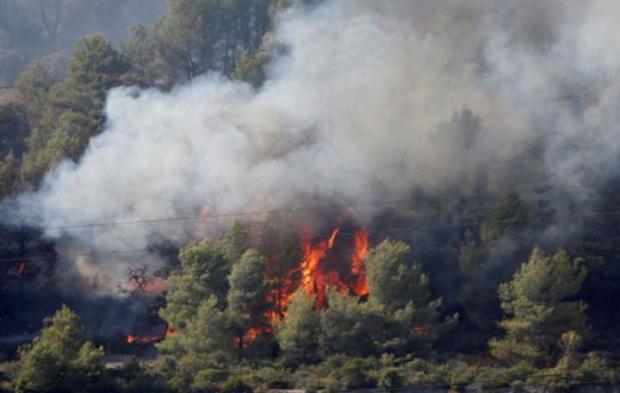 Antisipasi Kebakaran Hutan dan Lahan Saat Asian Games, Kementerian LHK Terapkan Pembasahan Lahan Kering