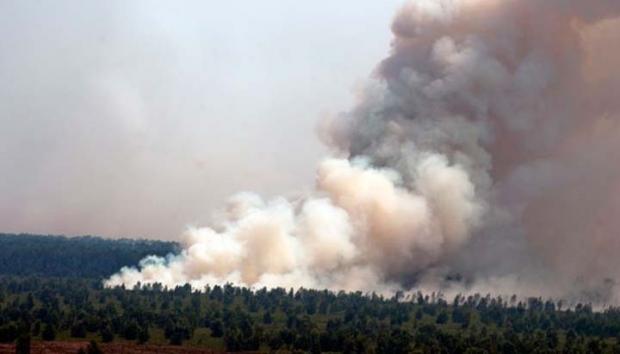 Kebakaran Hanguskan 2.425,16 Hektar Hutan di Riau