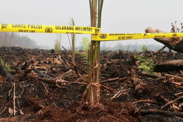 Polisi Sudah Tetapkan 85 Tersangka Pembakaran Lahan Riau