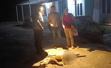 b9-orang-di-tenayanraya-pekanbaru-diserang-anjing-liar-diduga-rabiesb