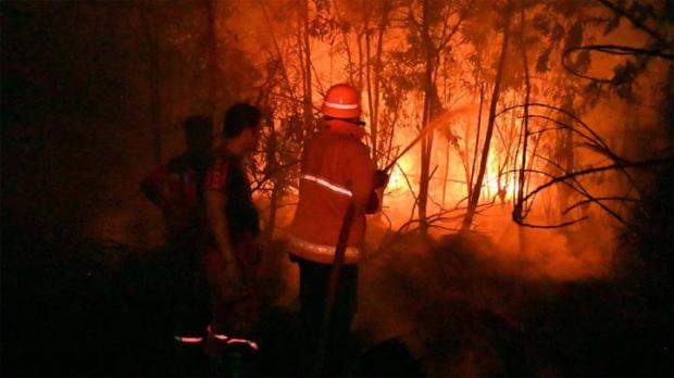 Dalam Sehari 485 Hektar Lahan di Riau Terbakar, Paling Parah Desa Anaktalang Indragiri Hulu