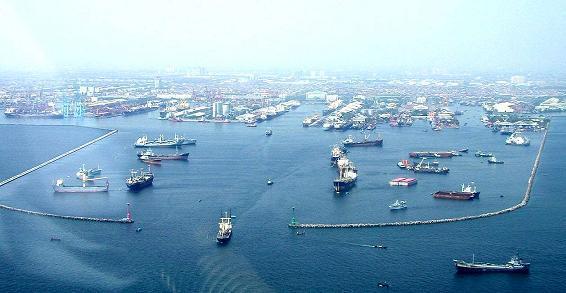 Dumai Sebentar Lagi Jadi Pelabuhan CPO Terbesar di Sumatera