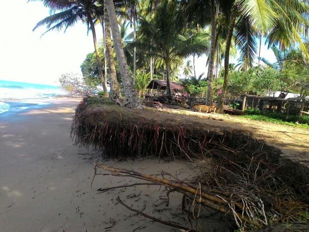 Daratan Kepulauan Meranti Berkurang karena Dihantam Abrasi