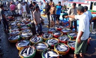 Cuaca Ekstrem Picu Kenaikan Harga Ikan di Sejumlah Pasar Tradisional di Pekanbaru