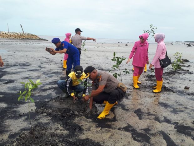 Selamatkan Pantai dari Abrasi, Polisi dan Masyarakat Bengkalis Tanam Mangrove Tanam 1.500 <i>Mangrove</i>