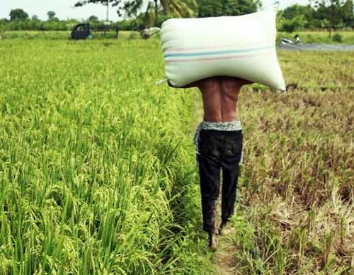 Petani Miskin di Riau Kebagian Lahan yang Akan Dibagikan Pemerintah