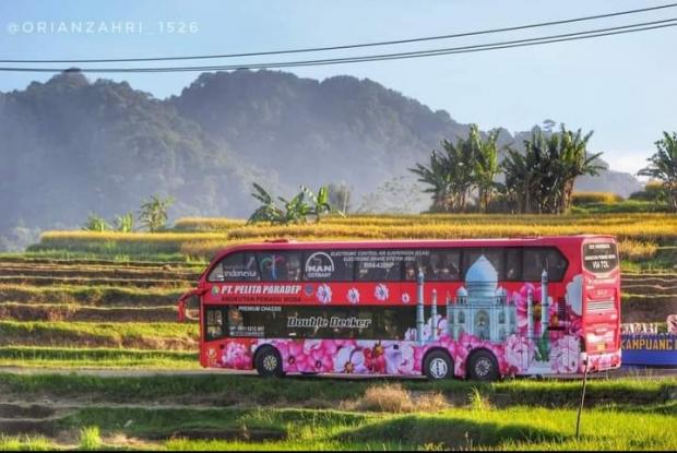 Bus Mewah Paradep Buka Trayek Pematangsiantar-Pekanbaru