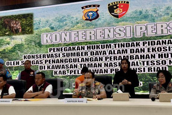 <b>Pemangku Adat Terduga Makelar 113 Ribu Hektare Kawasan Konservasi TN Tesso Nilo Ditangkap Polisi</b>