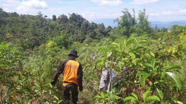 Misteri Orang Riau yang Hilang di Sumbar; Warga Sempat Lihat Korban Lari-Lari di Hutan