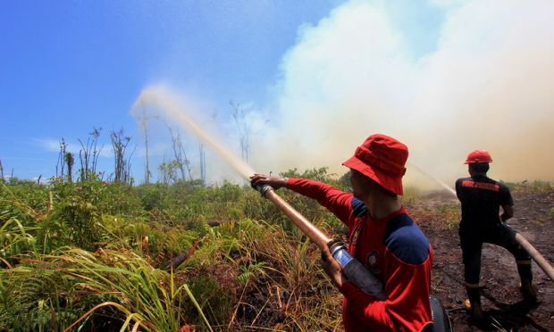 Kebakaran Kembali Melanda Lahan 8 Perusahaan yang Di-SP3 Polda Riau