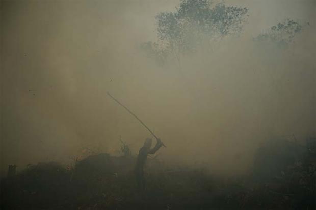 Sudah Sepekan, Kebakaran Hutan di Desa Rimbopanjang Kampar Belum Padam