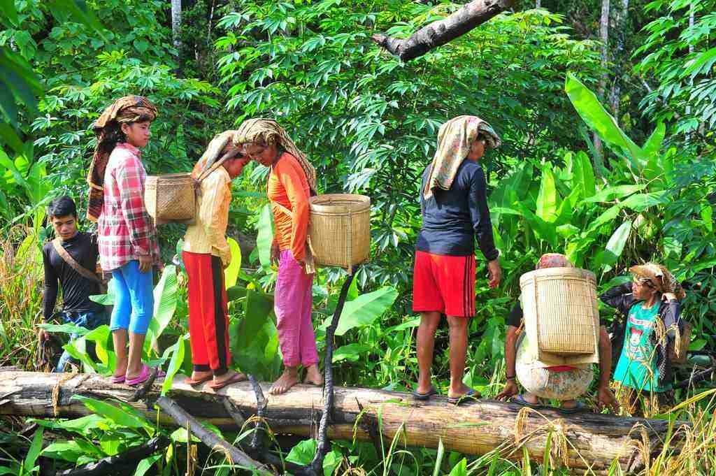 <b>Cerita Pilu di Balik Hutan Riau: Suku Talang Mamak dan Sertifikat yang tak Kunjung Diakui</b>