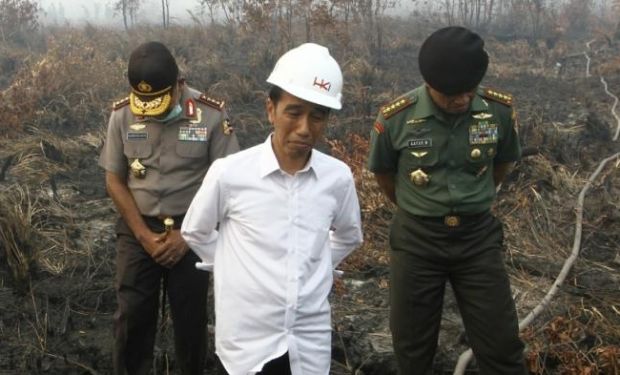 Presiden Jokowi Didesak Buka SP3 14 Perusahaan HTI Riau di Era Kapolda Hadiatmoko