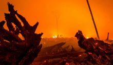 selama-96-hari-ke-depan-24-januari-hingga-30-april-2017-riau-berstatus-siaga-darurat-kebakaran