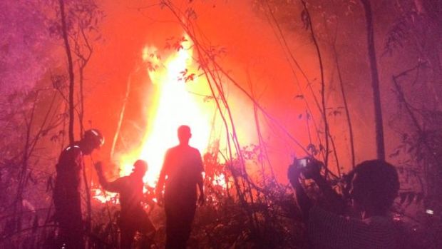 Dua Hektar Lahan di Perumahan Pertamina di Dumai Dilahap Api, Tim Pemadam Kelimpungan