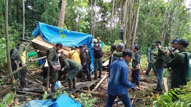 Gubuk Milik Perambah Hutan Suaka Margasatwa Giam Siak Kecil Kabupaten Bengkalis Dibumihanguskan