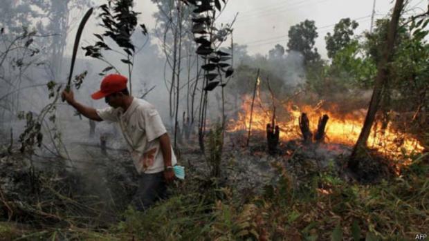 Empat Warga Jadi Tersangka Pembakar Lahan di Riau