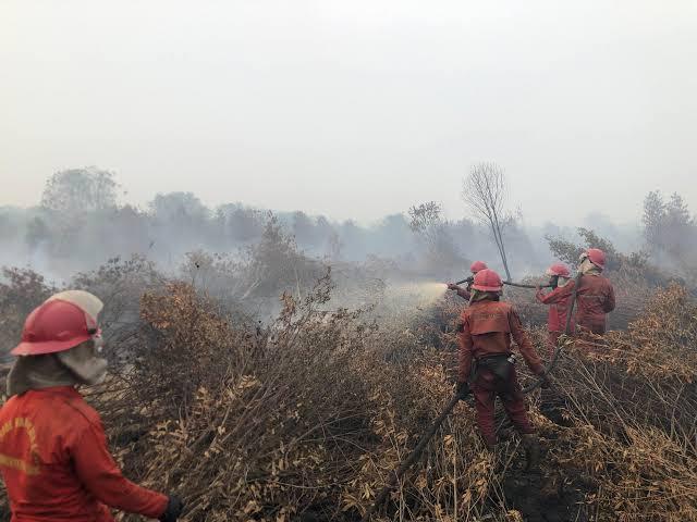 <b>Sebanyak 393 Hotspot Terdeteksi di Wilayah Pulau Sumatera, Provinsi Riau Penyumbang Terbanyak Ketiga</b>