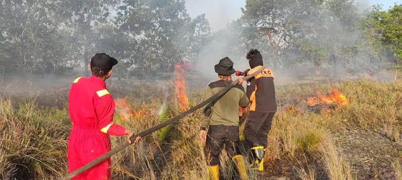 <b>BPBD Riau Lakukan Pemadaman Karhutla di Tiga Daerah Kabupaten</b>