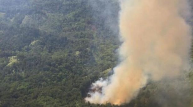 Enam Provinsi di Sumatera dan Kalimantan Berstatus Siaga Darurat Kebakaran Hutan, Termasuk Riau