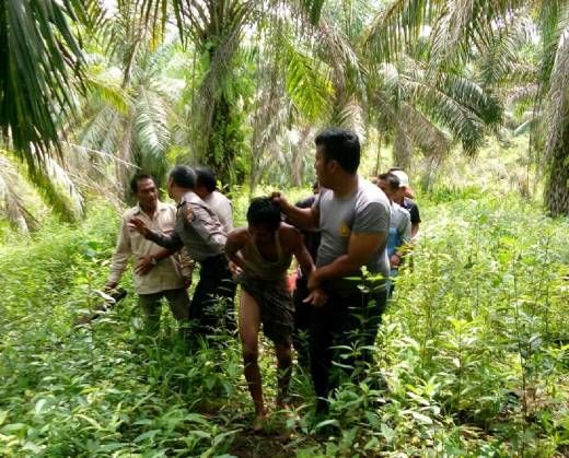 Keluar dari Persembunyian di Hutan Gara-gara Lapar dan Hendak Beli Sarapan, Pembantai Ibu Muda di Desa Rejosari Lirik Inhu Tertangkap